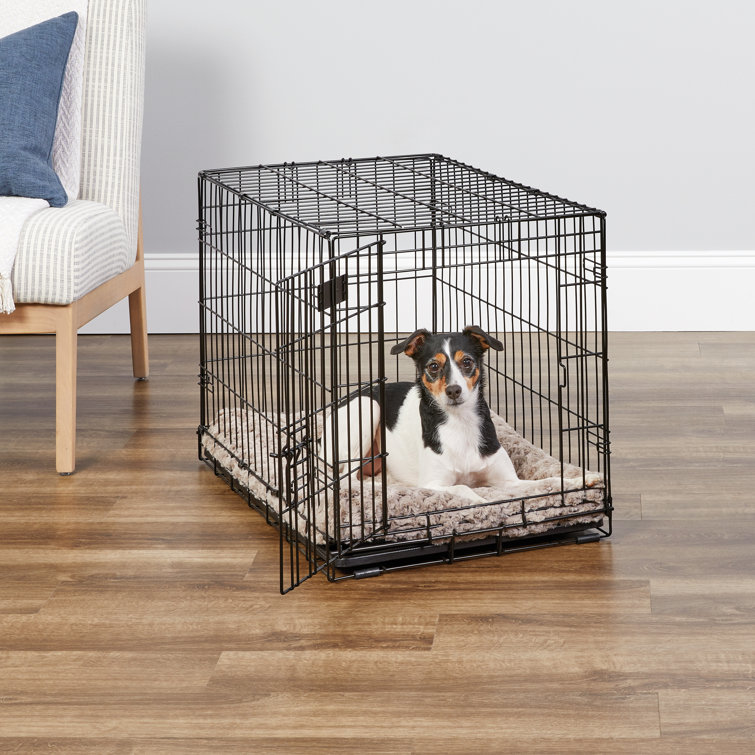 Large single door dog cheap crate